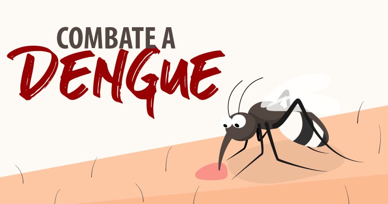 Vinhetas Dia Nacional do Combate a Dengue 